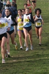 cross_349.jpg