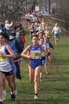cross_351.jpg