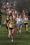 cross_353.jpg