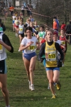 cross_355.jpg
