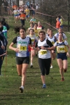 cross_359.jpg