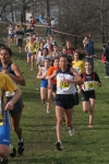 cross_362.jpg