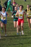 cross_365.jpg