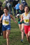 cross_366.jpg