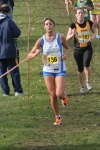 cross_367.jpg