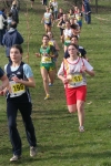cross_368.jpg