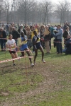 cross_369.jpg