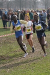 cross_371.jpg