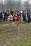 cross_372.jpg