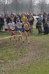 cross_374.jpg