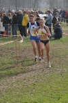 cross_375.jpg