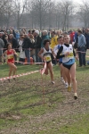cross_381.jpg