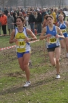 cross_384.jpg