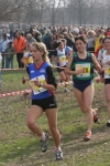 cross_388.jpg