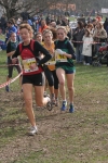 cross_390.jpg