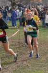 cross_391.jpg