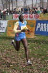 cross_393.jpg