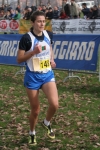 cross_396.jpg