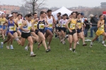 cross_414.jpg
