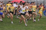 cross_416.jpg