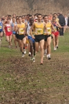 cross_419.jpg