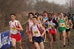 cross_428.jpg