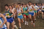cross_429.jpg