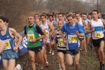 cross_432.jpg