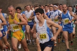 cross_433.jpg