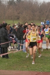 cross_438.jpg