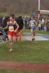 cross_440.jpg