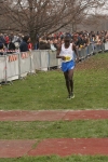 cross_446.jpg