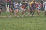 crssmon_107.jpg
