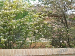 dscf1340.jpg