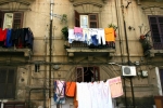 bio_falzone-07_0097.jpg