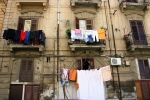 bio_falzone-07_0098.jpg