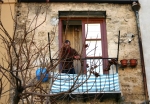 bio_falzone-07_0104.jpg