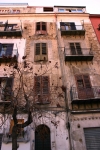 bio_falzone-07_0139.jpg
