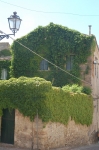 09.06.2007_0036.jpg