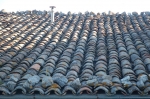 10.06.2007_0002.jpg