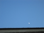 IMG_0393.jpg