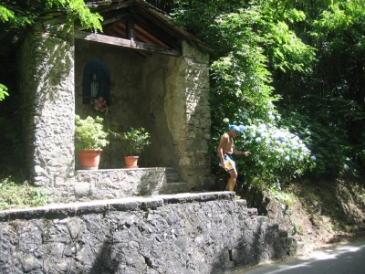 Clicca per vedere l'immagine alla massima grandezza