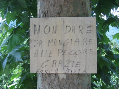 Clicca per vedere l'immagine alla massima grandezza