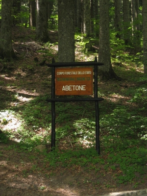 Clicca per vedere l'immagine alla massima grandezza