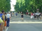 gambero07_057.jpg