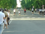 gambero07_066.jpg
