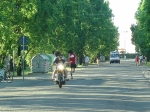 gambero07_111.jpg