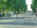 gambero07_116.jpg