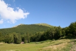 IMG_6733.JPG