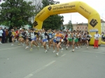 reggiolo07_187.jpg